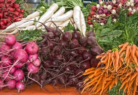 Kdy začít se sklizní kořenové zeleniny? A jak ji správně uskladnit?