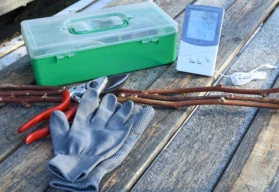 Co dělat v únoru na zahradě?