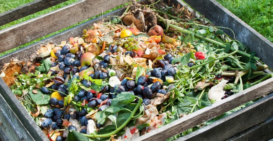 Kompostování, cesta k výrobě vlastního hnojiva 