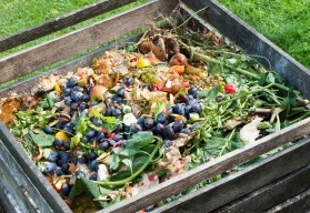Kompostování, cesta k výrobě vlastního hnojiva 