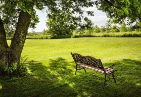 Na podzim se potřeby trávníku mění, jak se o něj před zimou postarat, aby přežil další sezónu?