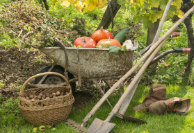 Prosinec už klepe na dveře, na zahradě se ale práce vždycky najde