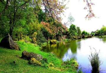 Na zimu je třeba připravit i okrasné jezírko
