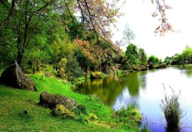Na zimu je třeba připravit i okrasné jezírko