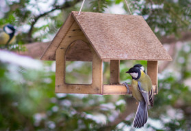 Zima už se pomalu hlásí 