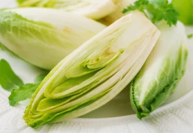 Čekanka osvěží jídelníček po celý rok - jak na její pěstování