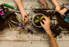 Astronomické jaro začalo. Jak na okrasné rostliny?