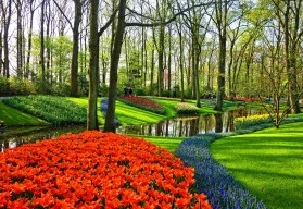 Jarní péče o trávník