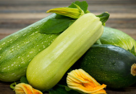 Bohatá násada cuket si žádá dostatek vláhy a živin