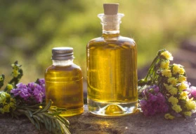 Bylinkami proti komárům