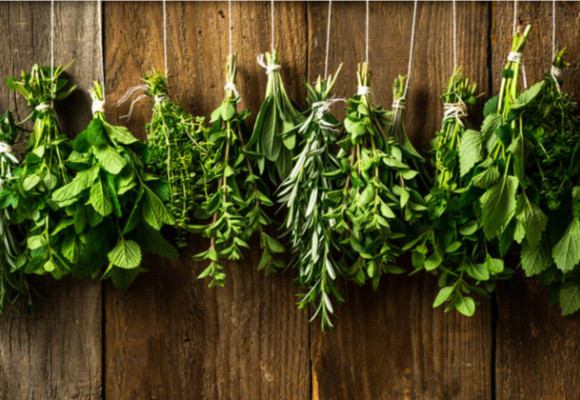 Zahradní aromaterapie