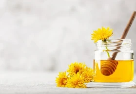 Dotěrný plevel nebo užitečná léčivka?