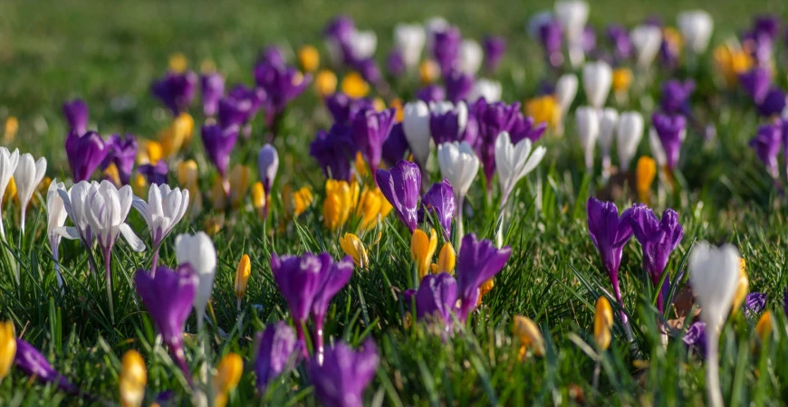 Zahradníkův březen