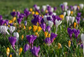 Zahradníkův březen