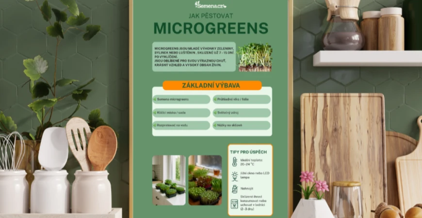 Microgreens: Zdraví na dosah ruky