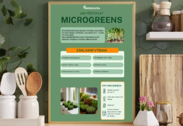 Microgreens: Zdraví na dosah ruky