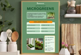 Microgreens: Zdraví na dosah ruky