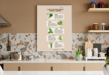 Bylinky na parapetu a balkoně: Vůně, chuť i zdraví na dosah ruky