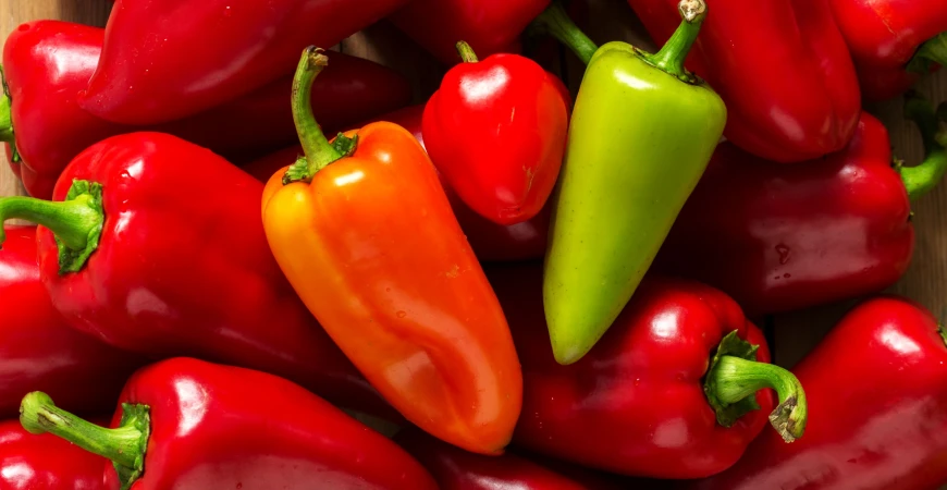 Papriky: kdy vysévat, kdy prosadit a jak je úspěšně vypěstovat (praktický plán)