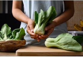 Rychlá listová zelenina Pak choi: pěstování pro začátečníky