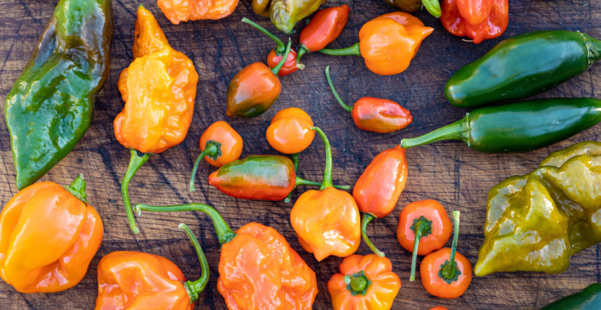 Chilli papričky jsou zdravé. A proč vlastně tak pálí? 