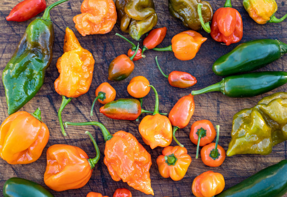 Chilli papričky jsou zdravé. A proč vlastně tak pálí? 