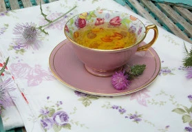 Bylinky pro jarní detoxikaci