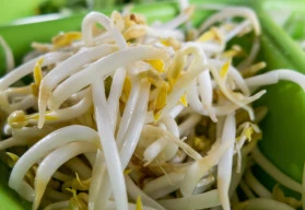 Naklíčená semena zpestří i letní jídelníček