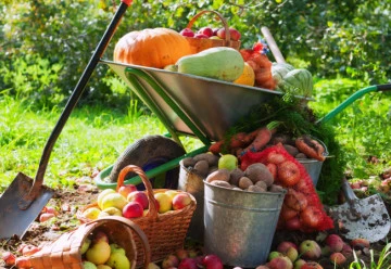 Co se dá dělat na zahrádce v říjnu