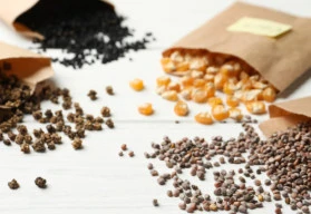 Jak správně uchovávat semena