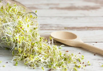 Vypěstujte si doma zdravé klíčky semen, je to snadné!